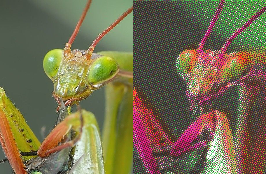 Custom color separation example